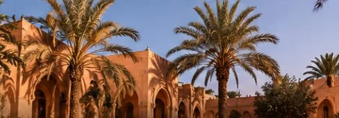 Palmiers et architecture ocre à Marrakech